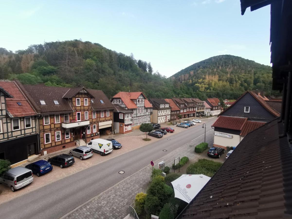 Hotel And Restaurant Bergschloesschen Zorge Exteriér fotografie