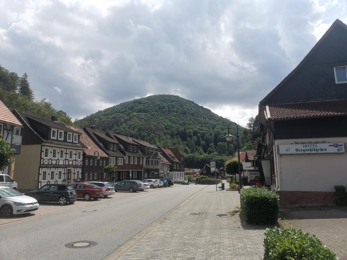Hotel And Restaurant Bergschloesschen Zorge Exteriér fotografie