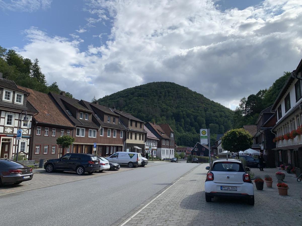 Hotel And Restaurant Bergschloesschen Zorge Exteriér fotografie