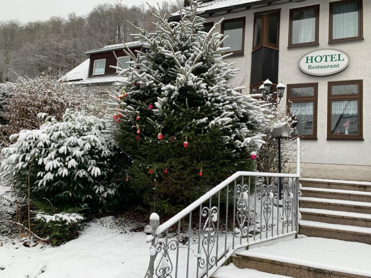 Hotel And Restaurant Bergschloesschen Zorge Exteriér fotografie